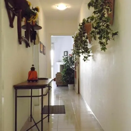 Apartman Res Lido Marini